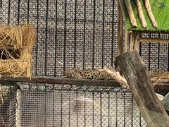 -深圳野生动物园