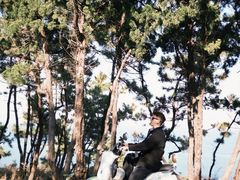 -养马岛旅游度假区