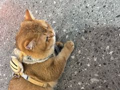 -想见你(咖啡·茶饮·甜品·江汉路店)