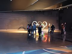 -米兰-马尔彭萨机场