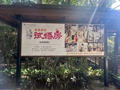 -亚龙湾热带天堂森林公园