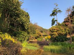 -云溪植物园