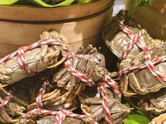 -亚马逊蒸汽活海鲜自助(LCM置汇旭辉广场店)