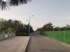 -日照海滨国家森林公园