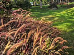-深圳市人才园(深南大道店)