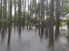 -东湖落雁景区