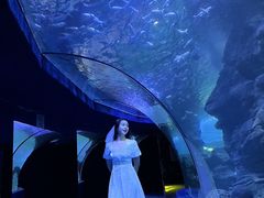 -左海海底世界