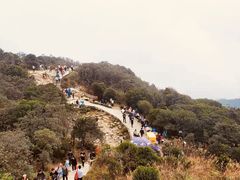 -梧桐山风景名胜区
