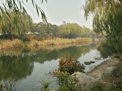 android_upload_pic-新江湾城公园