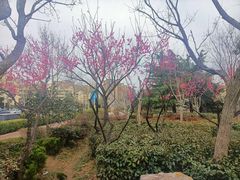 -山东外贸职业学院