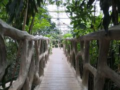 -南山植物园