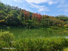 -武汉紫薇都市田园