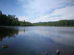 -五营红松林海景区
