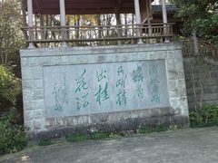 -千岛湖东南湖区