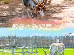 -呼伦贝尔大草原