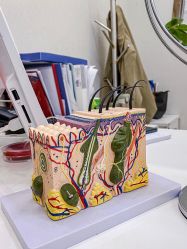 -正璞医疗美容·皮肤修复·微整注射