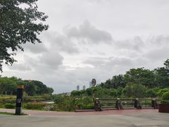 -万绿园