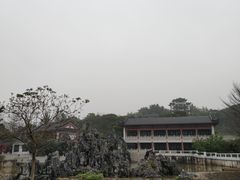 -广东花都湖国家湿地公园