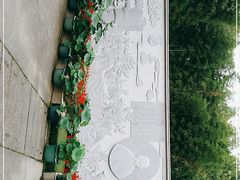 -陈家山荷花公园