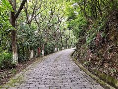 -宁波市保国寺古建筑博物馆