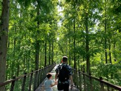 -黄海国家森林公园