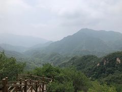 -大岭沟猕猴桃谷风景区