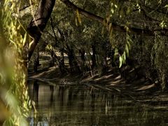 -长白岛森林公园