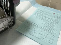 -半岛宠物医院24小时(白果林店)