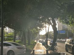 -重庆川渝肥妹火锅