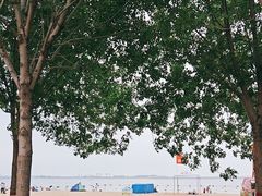 -金梦海湾浴场