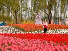 -廊坊文化艺术中心