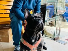 -畜牧兽医站(共江路店)