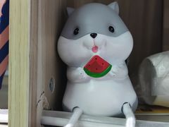 -紫斑马照相馆·生日写真·情侣写真·全家福(恒力城店)