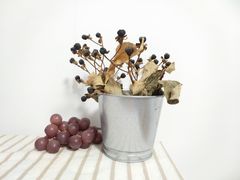 -信马画室 成人零基础到个人创作画室(亚运村店)