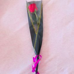 -养月堂中医养生月子会所(中心妇产店)