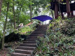 -都江堰普照寺