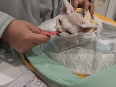 -美联众合24小时·皮肤科·外科·全科诊疗中心(华苑分院)