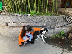 -少林寺欢喜地素斋馆