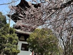 -武汉园博园(武汉自然博物馆)