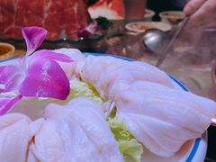 -老版火锅(半坡店)