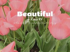 -石家庄市植物园