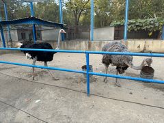 -森林公园(尖草坪区)