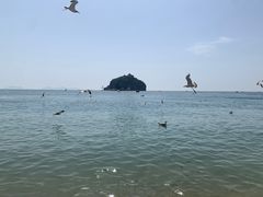 -棒棰岛宾馆景区