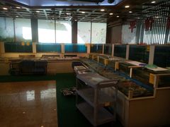 等位区-北塘海鲜·天津菜(大光明桥旗舰店)