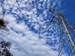 -黄埔油麻山森林公园