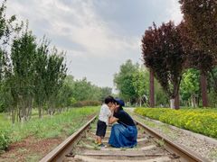 -永定河休闲森林公园