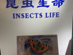 -上海昆虫博物馆