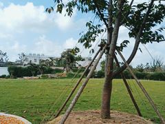 -梅园婚恋·婚姻介绍