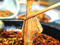 -蛙鱼潭美蛙鱼头火锅(解放碑瑞富广场店)