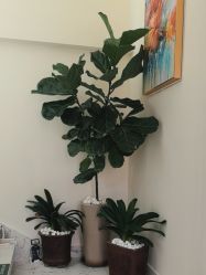 -海涛医疗美容·面部抗衰·注射美鼻